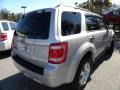 Silver Metallic - Escape XLT V6 Photo No. 15