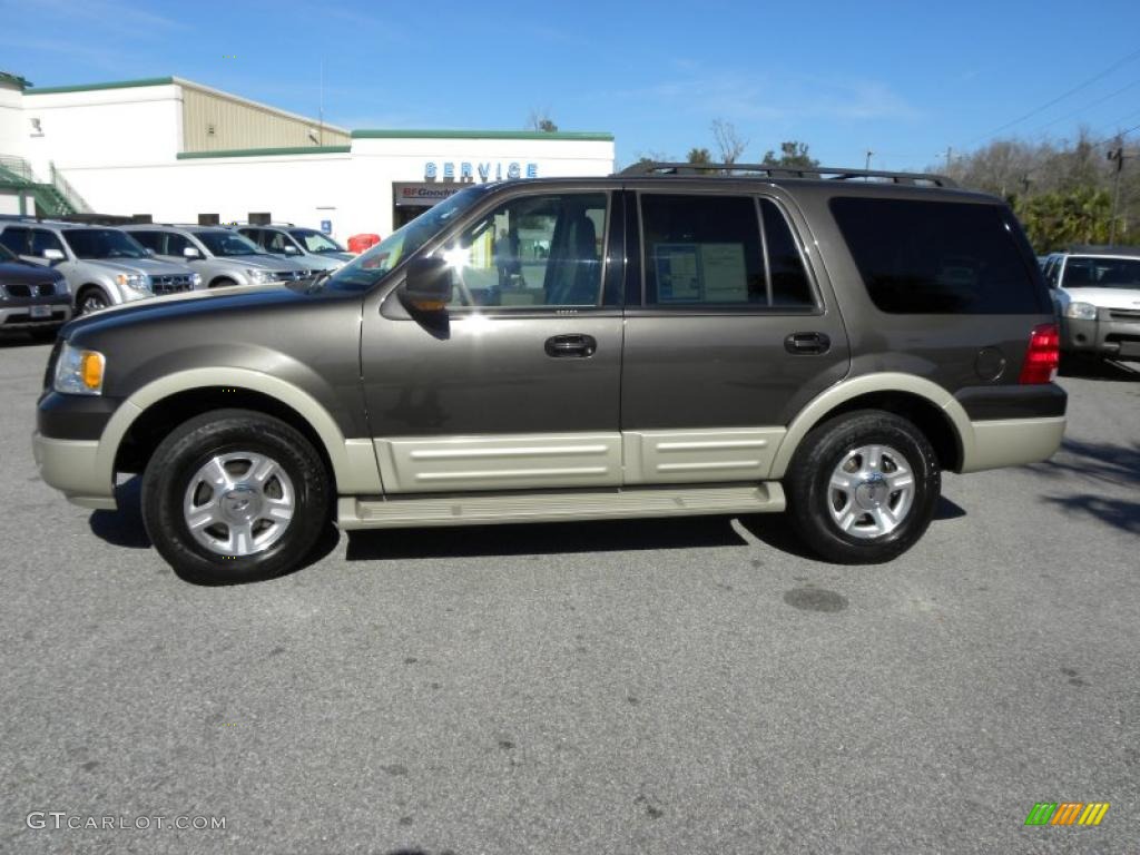 Dark Stone Metallic 2005 Ford Expedition Eddie Bauer Exterior Photo #44258576