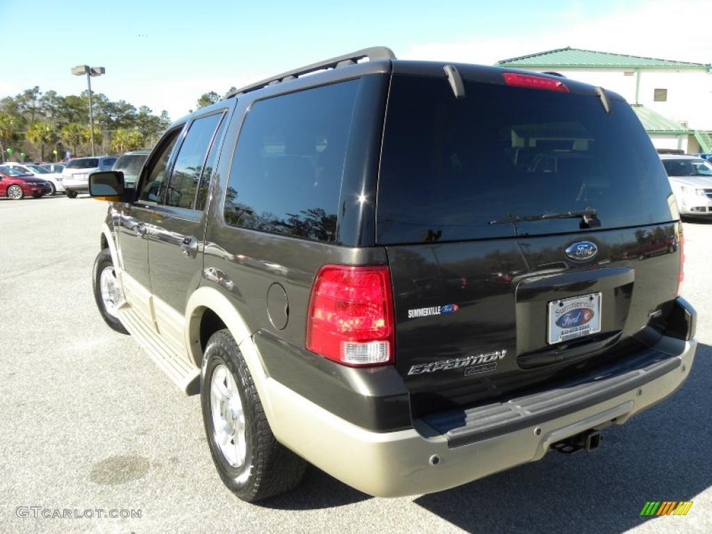 Dark Stone Metallic 2005 Ford Expedition Eddie Bauer Exterior Photo #44258870