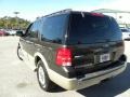 Dark Stone Metallic 2005 Ford Expedition Eddie Bauer Exterior