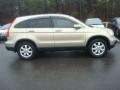 2007 Borrego Beige Metallic Honda CR-V EX-L  photo #7