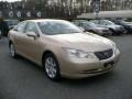 Golden Almond Metallic - ES 350 Photo No. 1