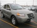 Natural Khaki Green - Santa Fe GLS Photo No. 11