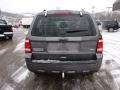 2011 Sterling Grey Metallic Ford Escape XLT V6 4WD  photo #3