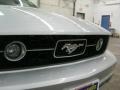 2007 Satin Silver Metallic Ford Mustang V6 Premium Convertible  photo #15