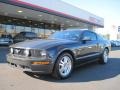 2007 Alloy Metallic Ford Mustang GT Premium Coupe  photo #1