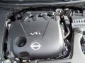 Super Black - Maxima 3.5 SV Photo No. 6