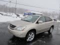 Savannah Beige Metallic - RX 350 AWD Photo No. 5