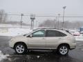 Savannah Beige Metallic - RX 350 AWD Photo No. 6