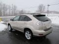 Savannah Beige Metallic - RX 350 AWD Photo No. 7