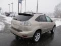 Savannah Beige Metallic - RX 350 AWD Photo No. 9
