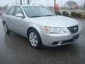 Bright Silver - Sonata GLS Photo No. 9