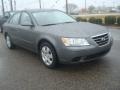 Willow Gray - Sonata GLS Photo No. 8