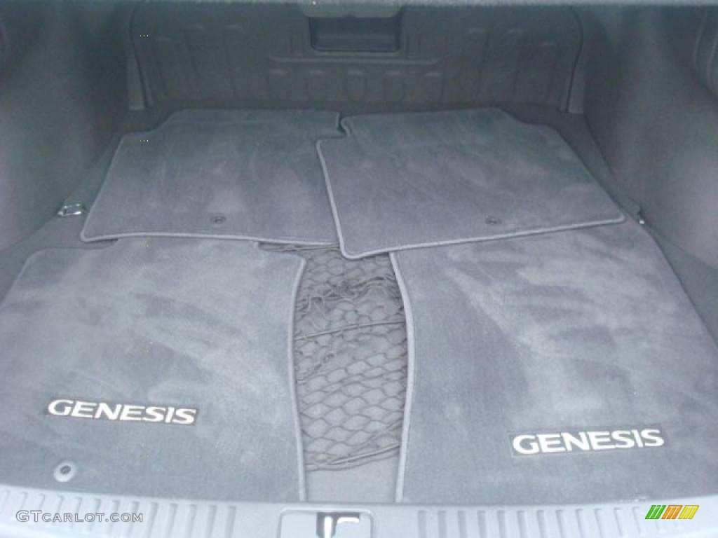 2010 Hyundai Genesis 3.8 Sedan Trunk Photo #44300963