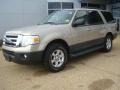 Pueblo Gold Metallic - Expedition XLT Photo No. 2