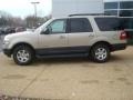 Pueblo Gold Metallic - Expedition XLT Photo No. 3
