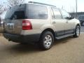 Pueblo Gold Metallic - Expedition XLT Photo No. 5