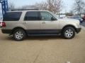 Pueblo Gold Metallic - Expedition XLT Photo No. 6