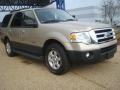 Pueblo Gold Metallic - Expedition XLT Photo No. 7