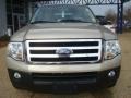 Pueblo Gold Metallic - Expedition XLT Photo No. 8