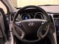 Gray Steering Wheel Photo for 2011 Hyundai Sonata #44326457