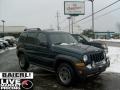 2005 Deep Beryl Green Pearl Jeep Liberty Renegade 4x4  photo #1