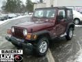 2003 Sienna Pearl Jeep Wrangler X 4x4  photo #3