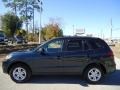 2010 Indigo Blue Pearl Hyundai Santa Fe GLS  photo #2