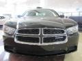 Brilliant Black Crystal Pearl 2011 Dodge Charger SE Exterior