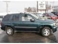 2005 Emerald Jewel Green Metallic Chevrolet TrailBlazer LS 4x4  photo #4