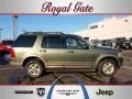 2002 Estate Green Metallic Ford Explorer Eddie Bauer 4x4  photo #1