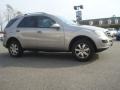 Pewter Metallic - ML 350 4Matic Photo No. 2