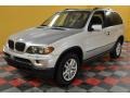 Titanium Silver Metallic - X5 3.0i Photo No. 2
