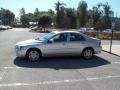 Silver Metallic - S60 2.5T Photo No. 4