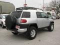 Titanium Metallic - FJ Cruiser  Photo No. 6