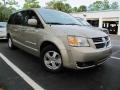 Light Sandstone Metallic - Grand Caravan SXT Photo No. 1