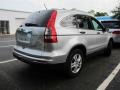 2010 Alabaster Silver Metallic Honda CR-V EX AWD  photo #2