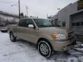 2005 Desert Sand Mica Toyota Tundra SR5 Double Cab 4x4  photo #1