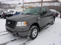 2007 Dark Shadow Grey Metallic Ford F150 XL SuperCab 4x4  photo #5