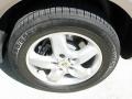 Jarama Beige Metallic - Cayenne Tiptronic Photo No. 11