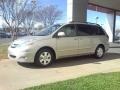 2007 Silver Shadow Pearl Toyota Sienna XLE Limited  photo #18