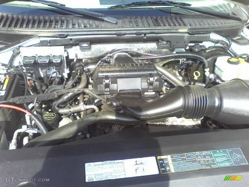 2006 Ford Expedition Eddie Bauer 5.4L SOHC 24V VVT Triton V8 Engine Photo #44429464