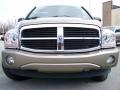 2006 Light Khaki Metallic Dodge Durango SLT 4x4  photo #3