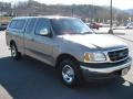 2002 Arizona Beige Metallic Ford F150 XLT SuperCab  photo #4