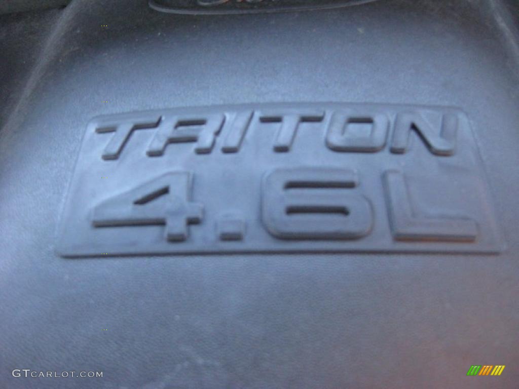 2002 F150 XLT SuperCab - Arizona Beige Metallic / Medium Parchment photo #12