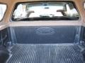 2002 Arizona Beige Metallic Ford F150 XLT SuperCab  photo #13