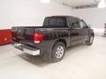 Galaxy Black - Titan SE Crew Cab Photo No. 4