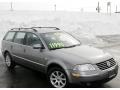 Stonehenge Grey Metallic - Passat GLS Wagon Photo No. 3