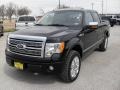 Black - F150 Platinum SuperCrew 4x4 Photo No. 2
