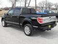 Black - F150 Platinum SuperCrew 4x4 Photo No. 4